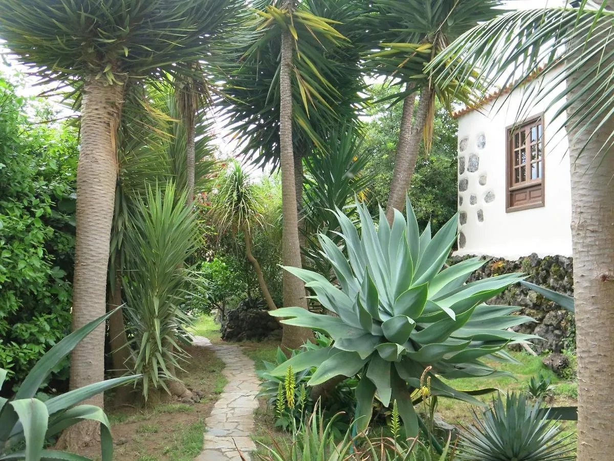 Appartement La Casita De La Vega à Icod De Los Vinos