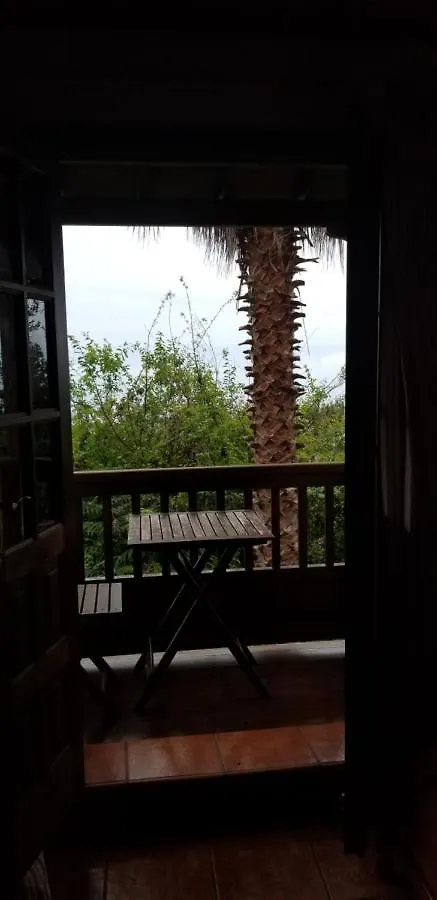 Apartamento La Casita de la Vega Icod De Los Vinos España