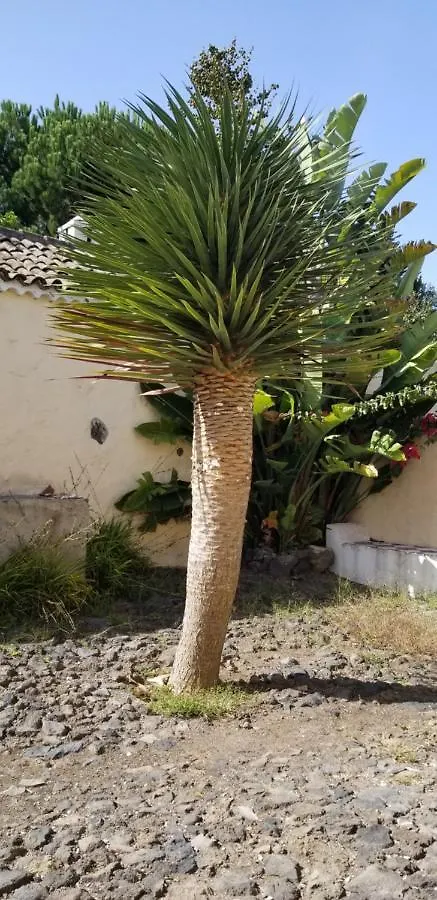 Apartamento La Casita de la Vega Icod De Los Vinos