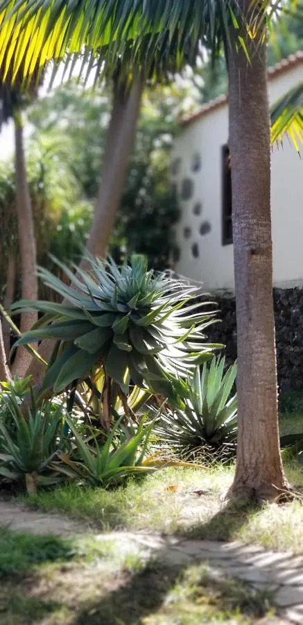 Apartamento La Casita de la Vega Icod De Los Vinos