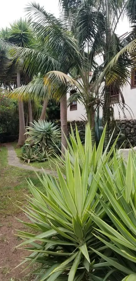 Appartement La Casita De La Vega à Icod De Los Vinos