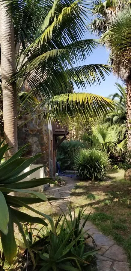 Apartamento La Casita de la Vega Icod De Los Vinos España