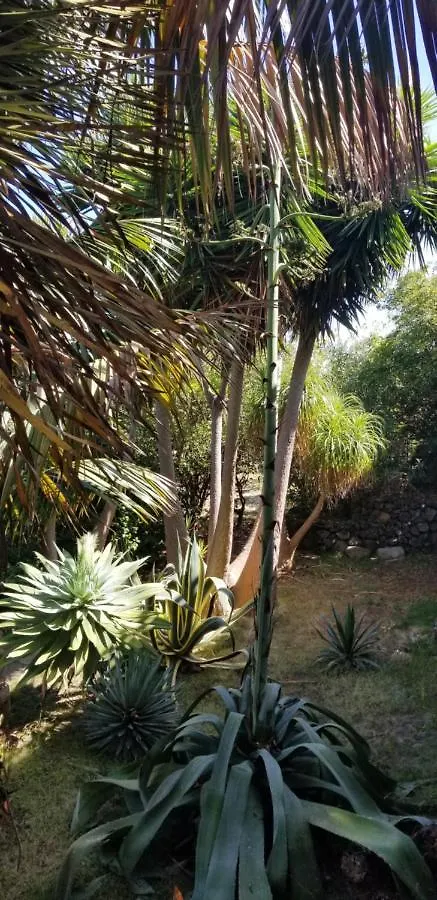 Apartamento La Casita de la Vega Icod De Los Vinos España