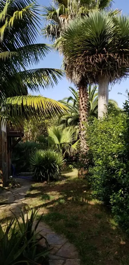 Apartamento La Casita de la Vega Icod De Los Vinos