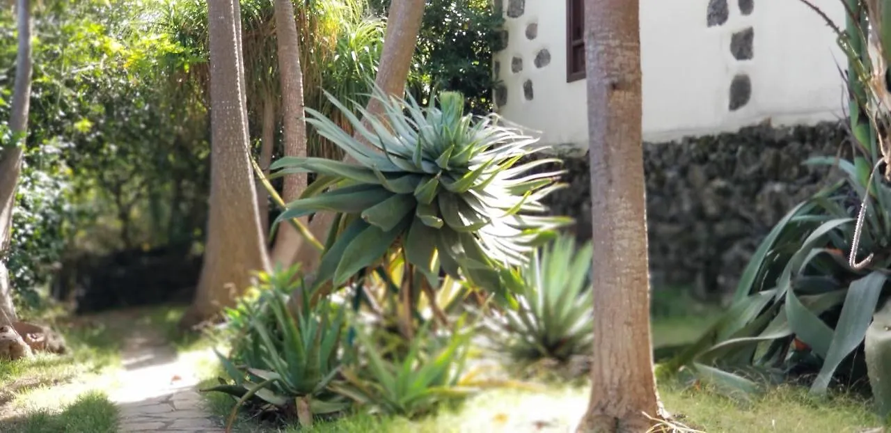 Appartement La Casita De La Vega à Icod De Los Vinos
