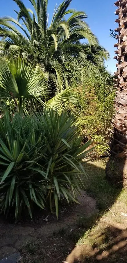 Appartement La Casita De La Vega à Icod De Los Vinos 0*,  Espagne