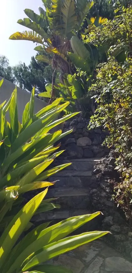 Apartamento La Casita de la Vega Icod De Los Vinos