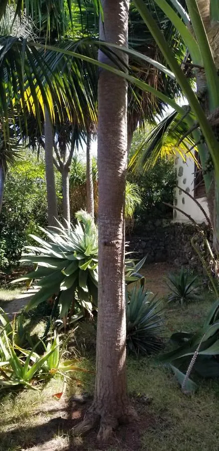 Apartamento La Casita de la Vega Icod De Los Vinos España