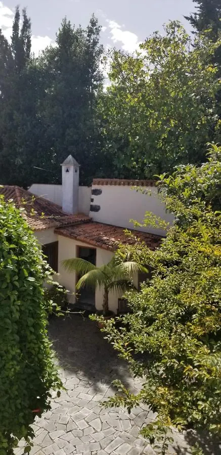 Apartamento La Casita de la Vega Icod De Los Vinos España