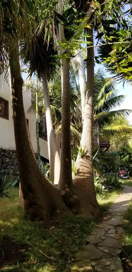 Apartamento La Casita de la Vega Icod De Los Vinos 0*,