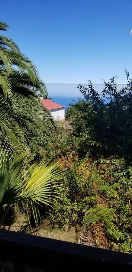 Apartamento La Casita de la Vega Icod De Los Vinos