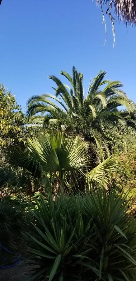 Apartamento La Casita de la Vega Icod De Los Vinos